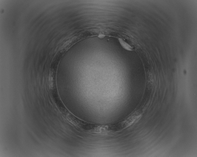 X0000062600080200601110953