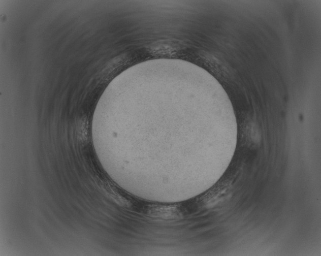 X0000062600081200601110953