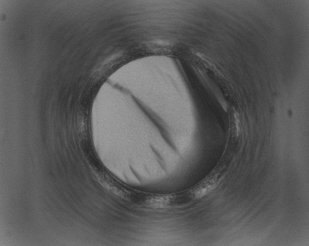 X0000062600084200601110953