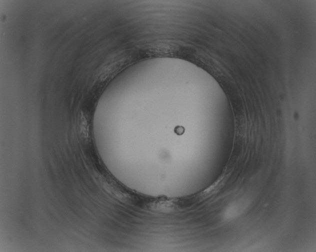X0000062600086200601110954