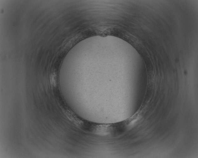 X0000062600090200601110954
