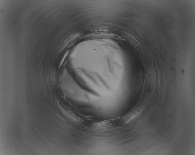 X0000062600092200601110954