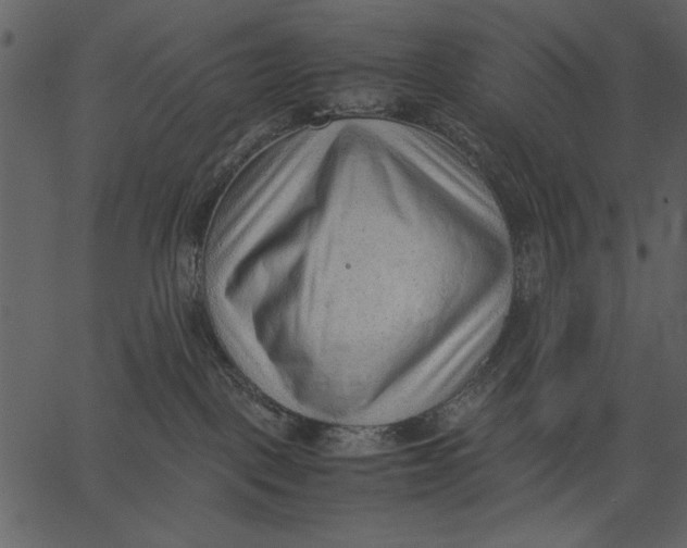 X0000062600093200601110954