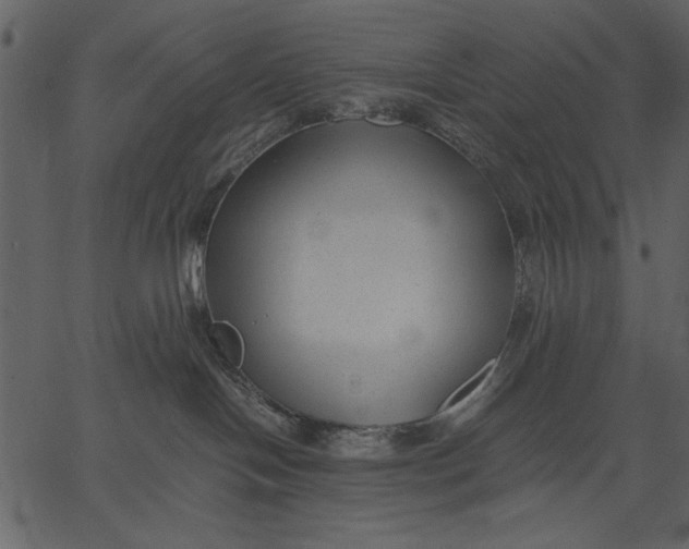 X0000062600094200601110954