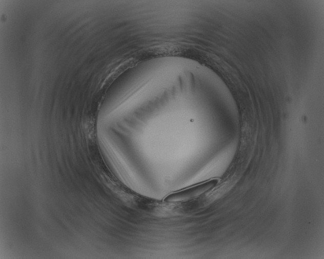 X0000062600096200601110954