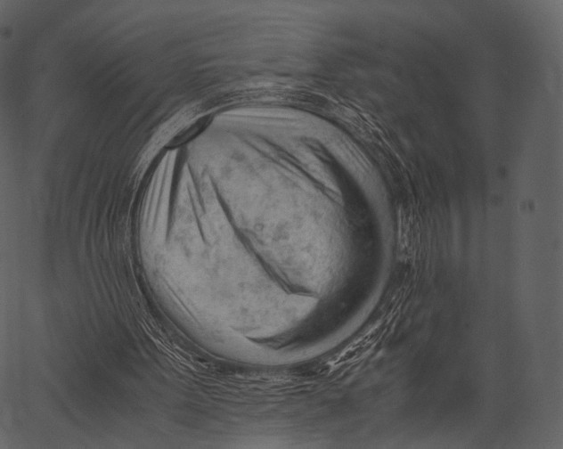 X0000062600099200601110953