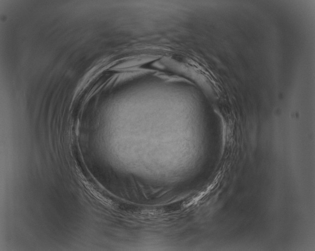 X0000062600101200601110953