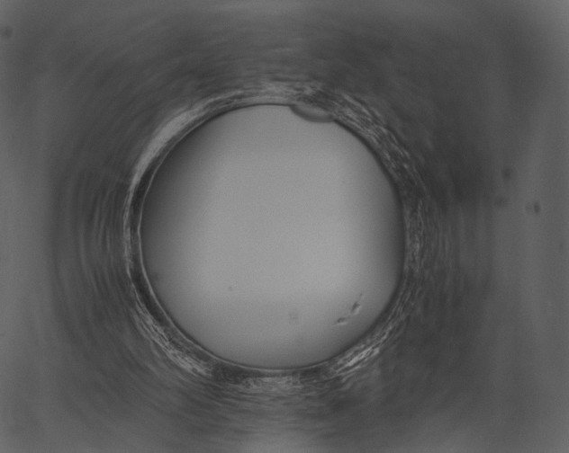 X0000062600102200601110953