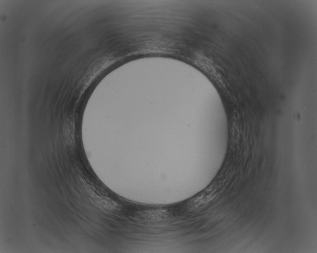 X0000062600108200601110953