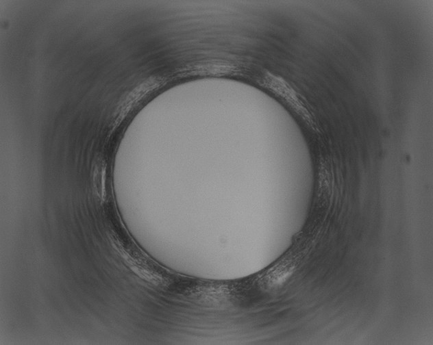 X0000062600110200601110953
