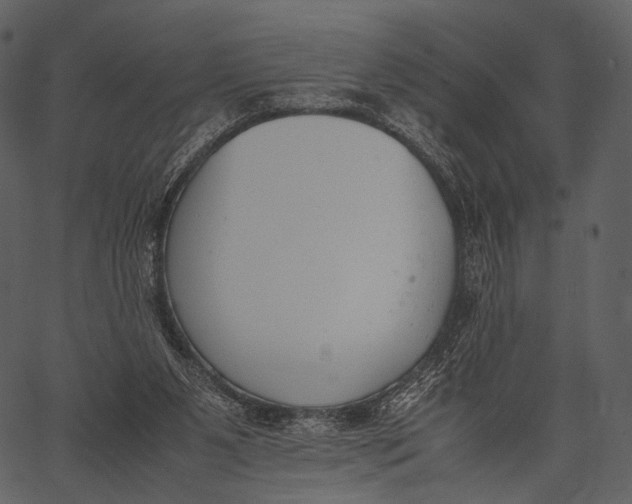 X0000062600111200601110953