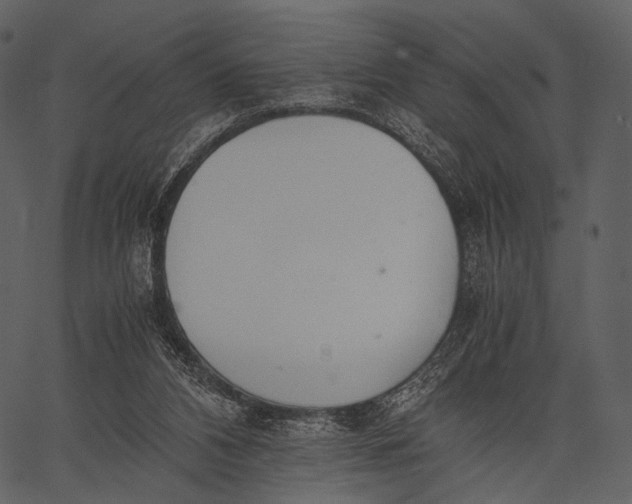 X0000062600112200601110953