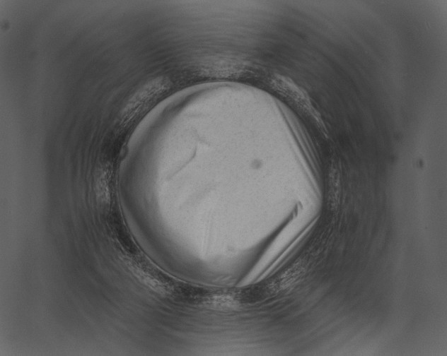 X0000062600114200601110953