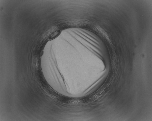 X0000062600115200601110953