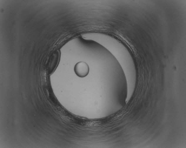 X0000062600117200601110953