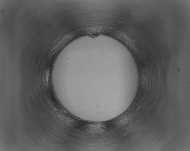 X0000062600118200601110953