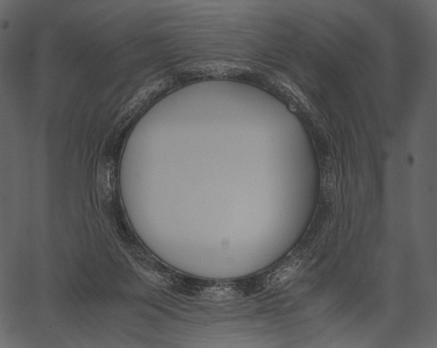 X0000062600119200601110953