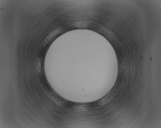 X0000062600120200601110953