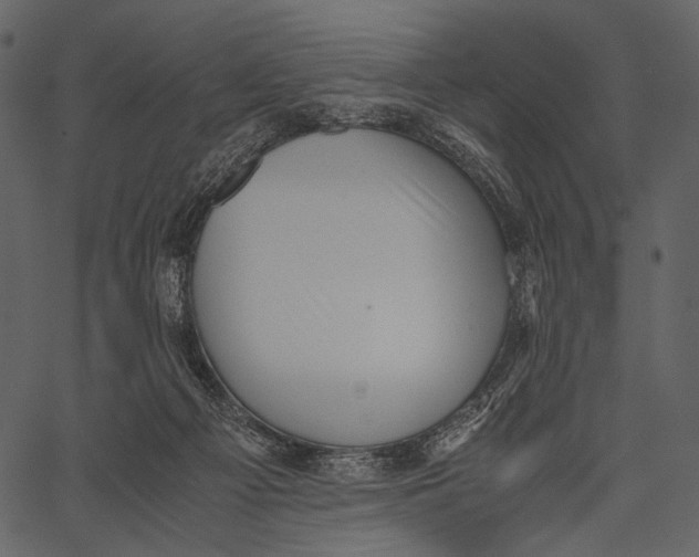 X0000062600121200601110952