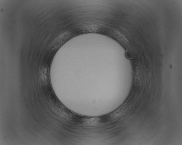 X0000062600122200601110952