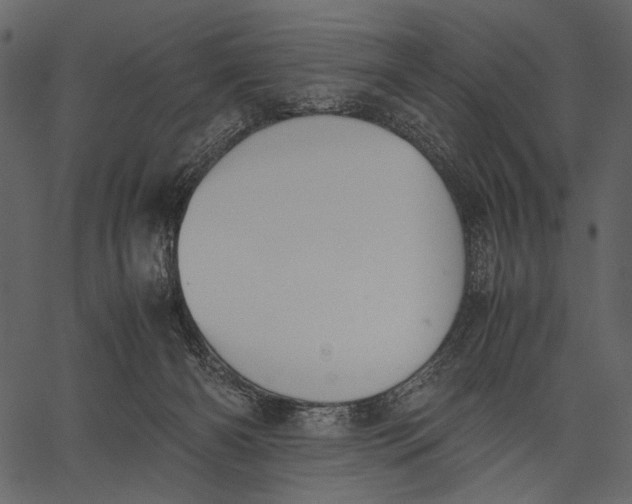 X0000062600126200601110952