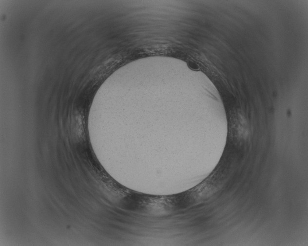 X0000062600130200601110952
