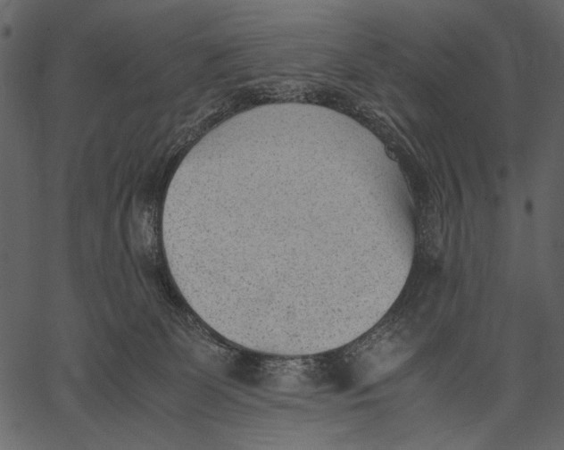 X0000062600131200601110952
