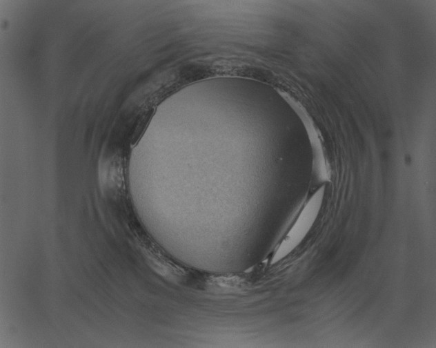X0000062600137200601110952