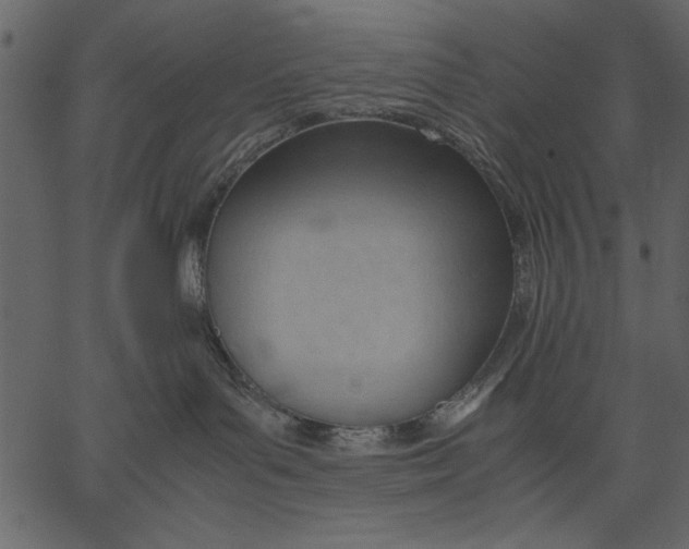 X0000062600143200601110952