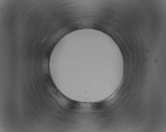 X0000062600144200601110952