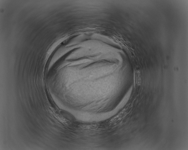 X0000062600147200601110951