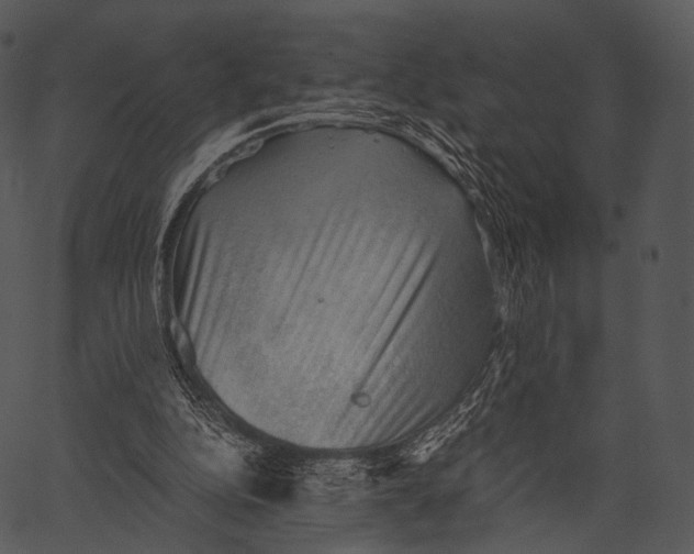 X0000062600152200601110951