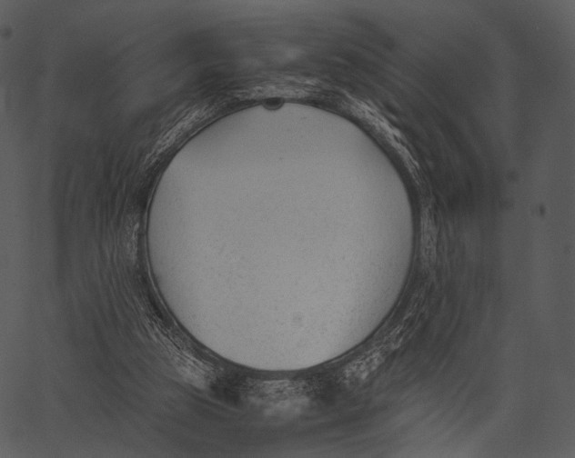 X0000062600153200601110951