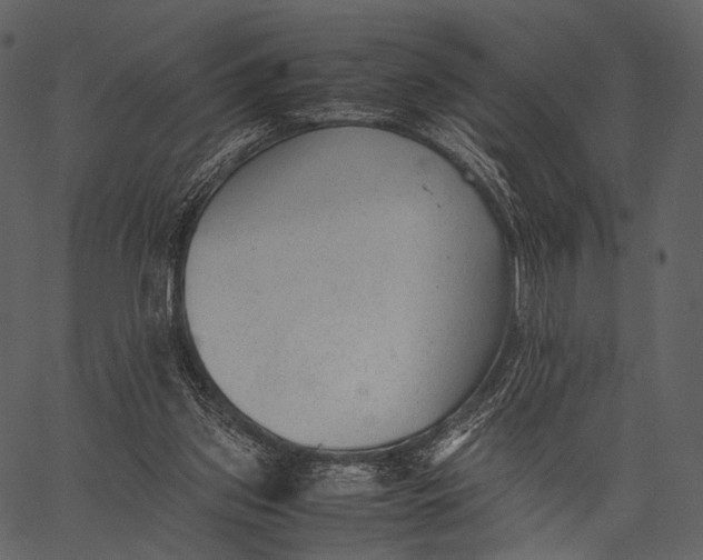 X0000062600157200601110951