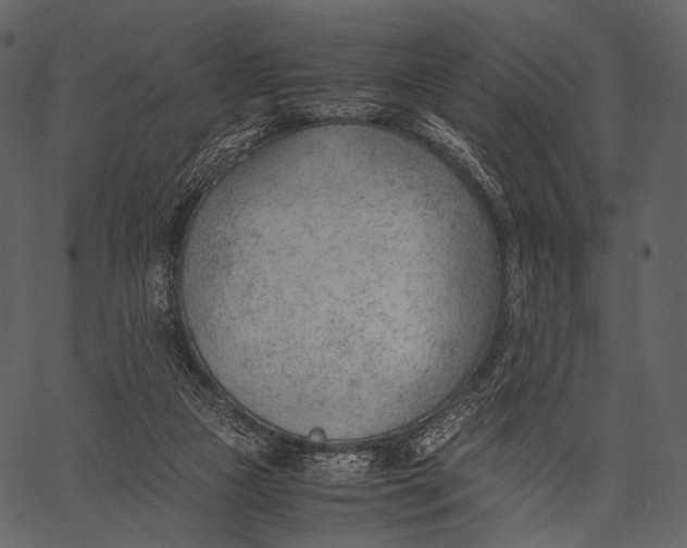 X0000062600161200601110952