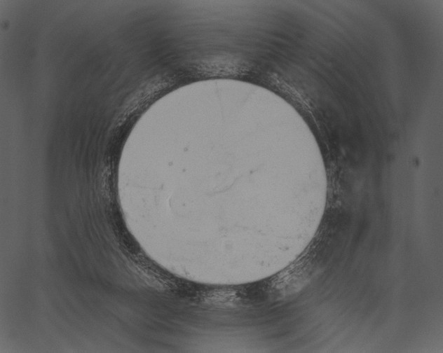 X0000062600162200601110952