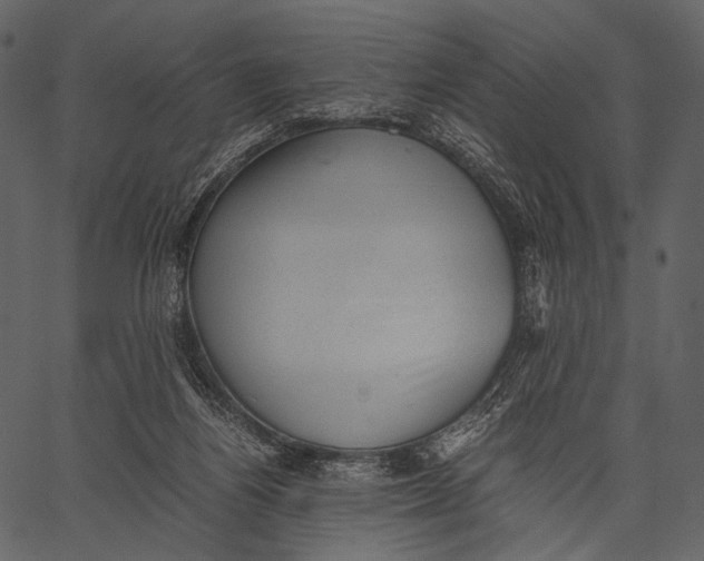 X0000062600164200601110952