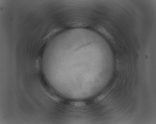 X0000062600165200601110952