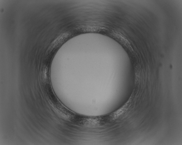 X0000062600166200601110952