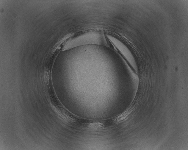 X0000062600168200601110952