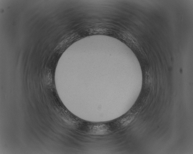 X0000062600173200601110952