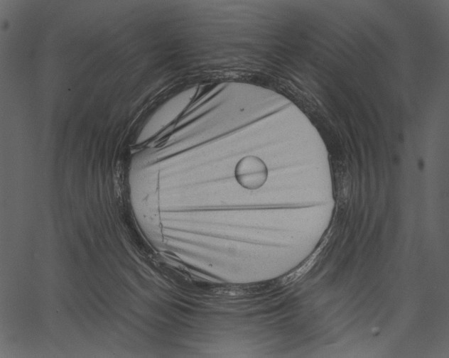 X0000062600174200601110952