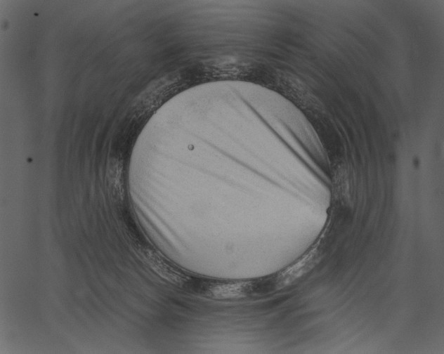 X0000062600178200601110952