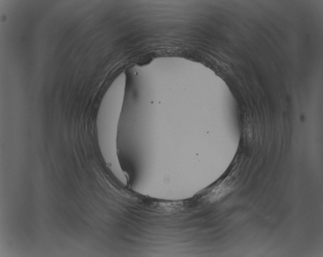 X0000062600188200601110952