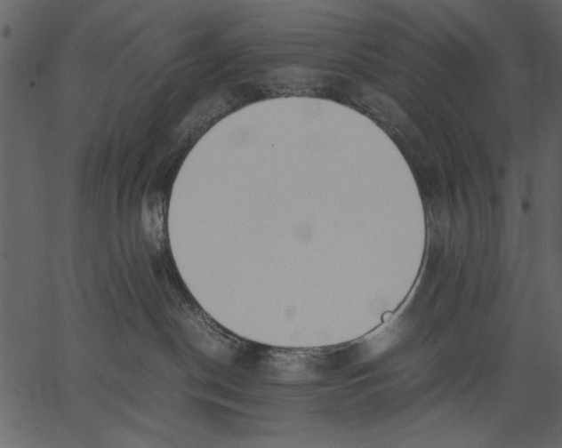 X0000062600190200601110952