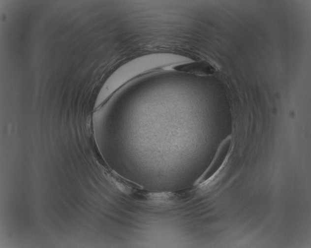 X0000062600192200601110952