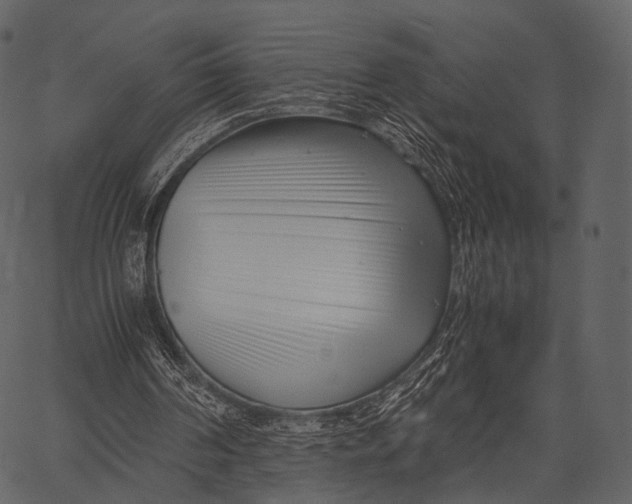 X0000062600194200601110951