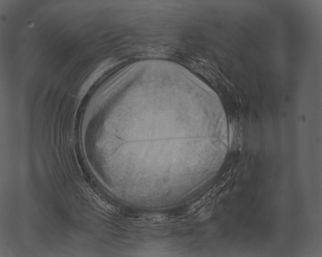 X0000062600195200601110951