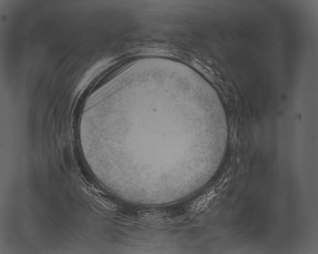 X0000062600199200601110951