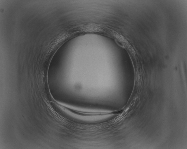 X0000062600201200601110951